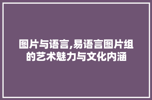 图片与语言,易语言图片组的艺术魅力与文化内涵