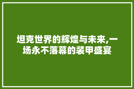 坦克世界的辉煌与未来,一场永不落幕的装甲盛宴