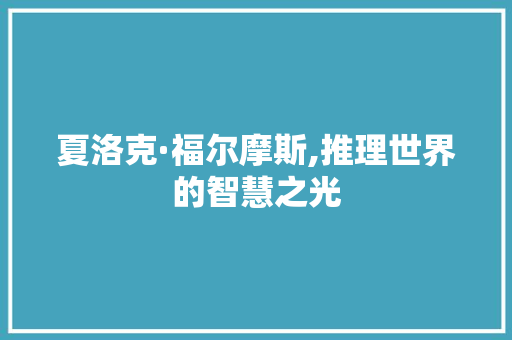 夏洛克·福尔摩斯,推理世界的智慧之光 seo技术