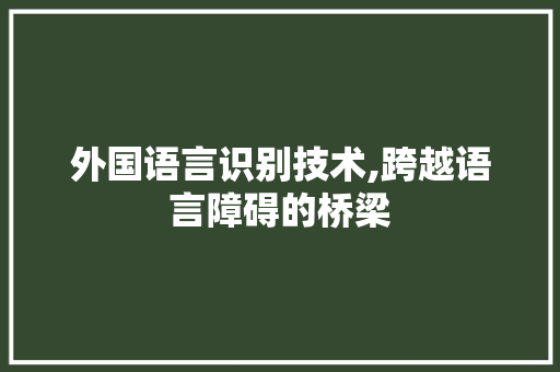 外国语言识别技术,跨越语言障碍的桥梁
