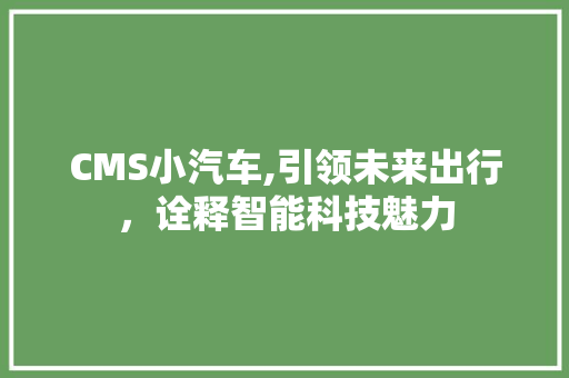 CMS小汽车,引领未来出行，诠释智能科技魅力