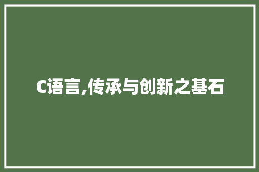 C语言,传承与创新之基石 网站优化