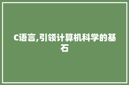 C语言,引领计算机科学的基石 seo技术