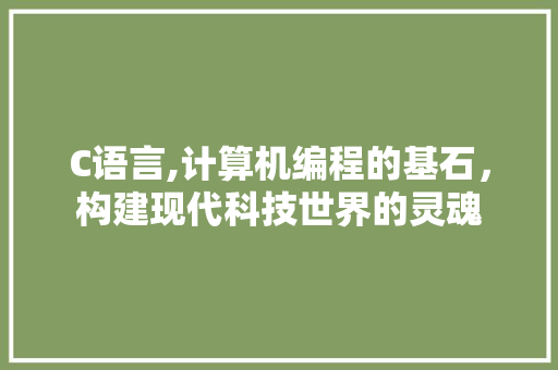 C语言,计算机编程的基石，构建现代科技世界的灵魂 百度算法