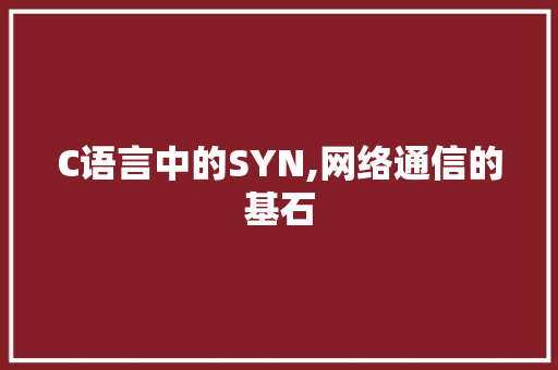 C语言中的SYN,网络通信的基石
