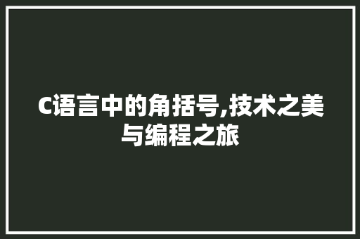 C语言中的角括号,技术之美与编程之旅