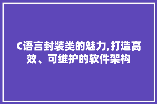 C语言封装类的魅力,打造高效、可维护的软件架构