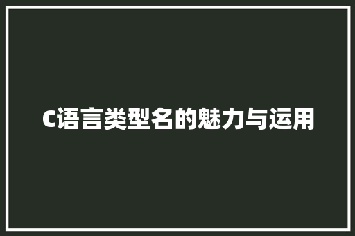 C语言类型名的魅力与运用 百度算法