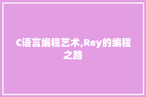 C语言编程艺术,Rey的编程之路 seo技术