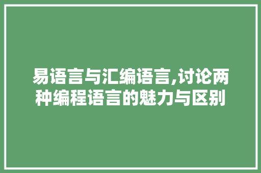 易语言与汇编语言,讨论两种编程语言的魅力与区别