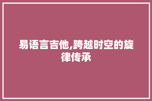 易语言吉他,跨越时空的旋律传承