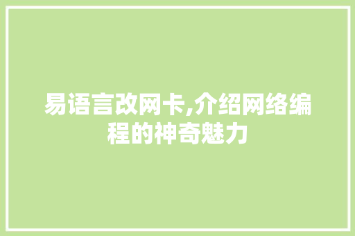 易语言改网卡,介绍网络编程的神奇魅力