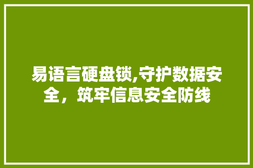 易语言硬盘锁,守护数据安全，筑牢信息安全防线