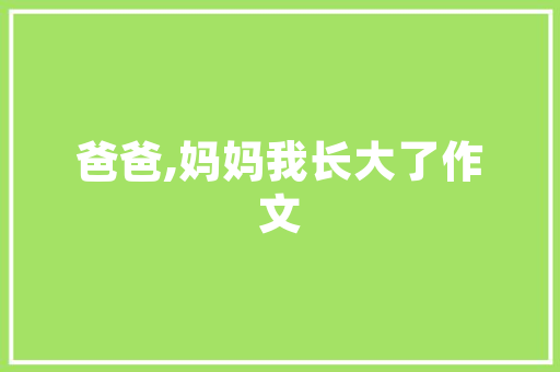 易语言音乐盒,传统文化的现代演绎 360搜优化