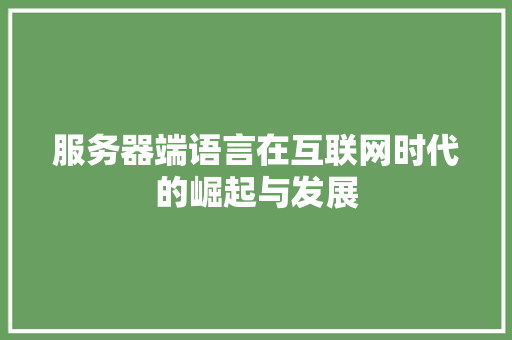 服务器端语言在互联网时代的崛起与发展 英文谷歌算法