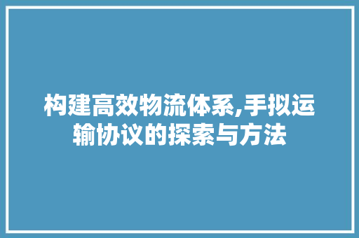 构建高效物流体系,手拟运输协议的探索与方法