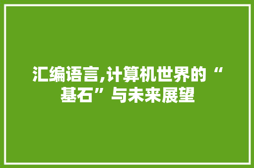 汇编语言,计算机世界的“基石”与未来展望 网站开发