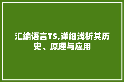 汇编语言TS,详细浅析其历史、原理与应用