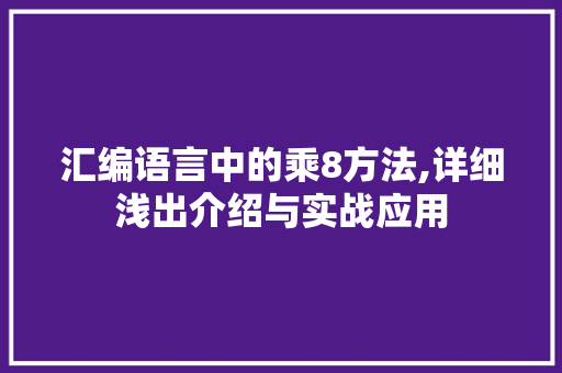 汇编语言中的乘8方法,详细浅出介绍与实战应用