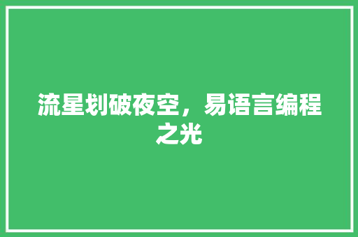 流星划破夜空，易语言编程之光 搜狗优化