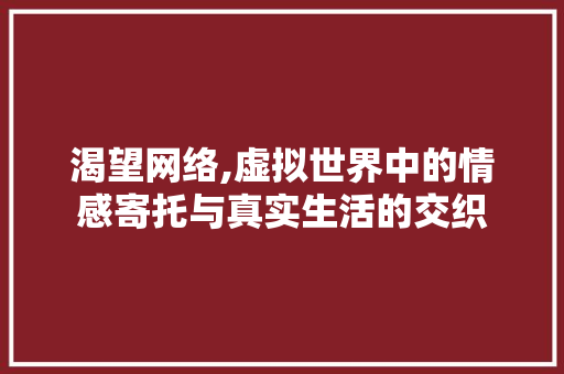 渴望网络,虚拟世界中的情感寄托与真实生活的交织