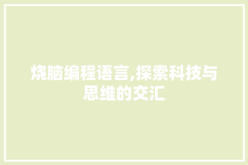 烧脑编程语言,探索科技与思维的交汇 小程序开发