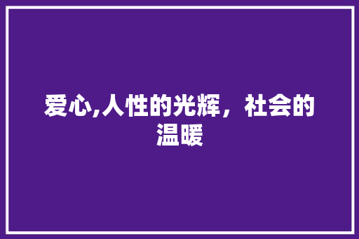 爱心,人性的光辉，社会的温暖