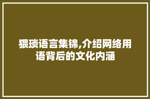 猥琐语言集锦,介绍网络用语背后的文化内涵 360搜优化