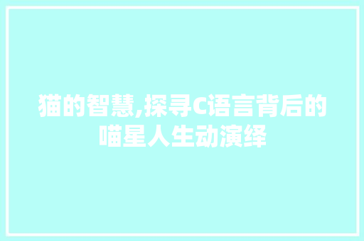 猫的智慧,探寻C语言背后的喵星人生动演绎 网站开发