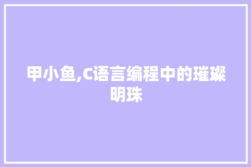 甲小鱼,C语言编程中的璀璨明珠