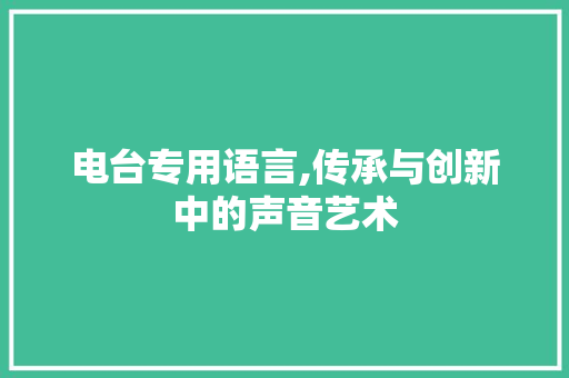 电台专用语言,传承与创新中的声音艺术