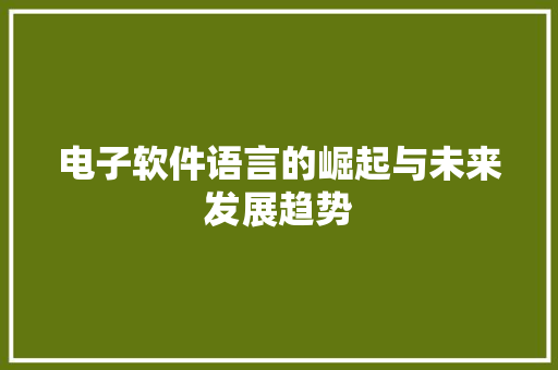 电子软件语言的崛起与未来发展趋势