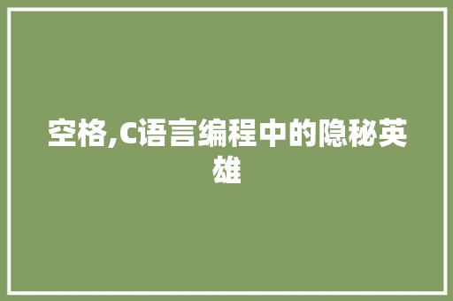 空格,C语言编程中的隐秘英雄