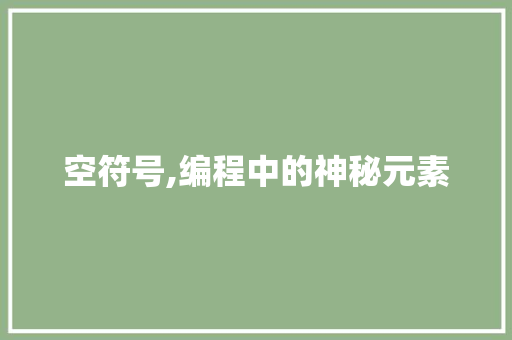 空符号,编程中的神秘元素