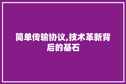 简单传输协议,技术革新背后的基石