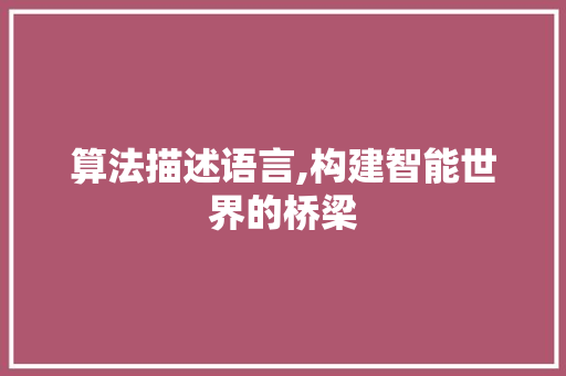 算法描述语言,构建智能世界的桥梁