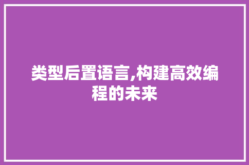 类型后置语言,构建高效编程的未来 seo技术