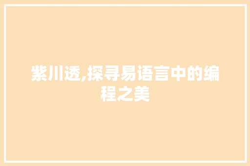 紫川透,探寻易语言中的编程之美