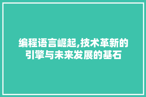 编程语言崛起,技术革新的引擎与未来发展的基石