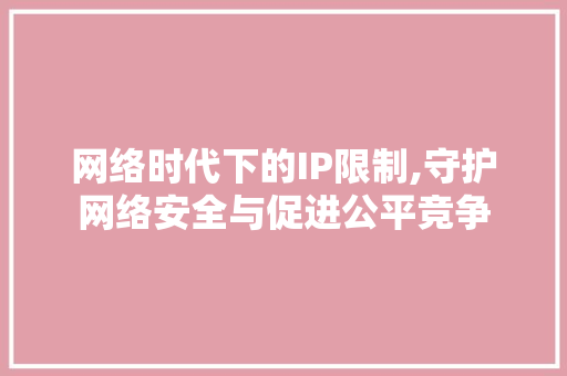 网络时代下的IP限制,守护网络安全与促进公平竞争
