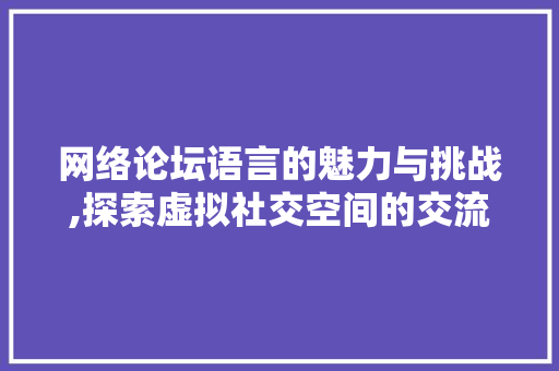 网络论坛语言的魅力与挑战,探索虚拟社交空间的交流艺术