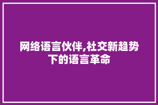 网络语言伙伴,社交新趋势下的语言革命