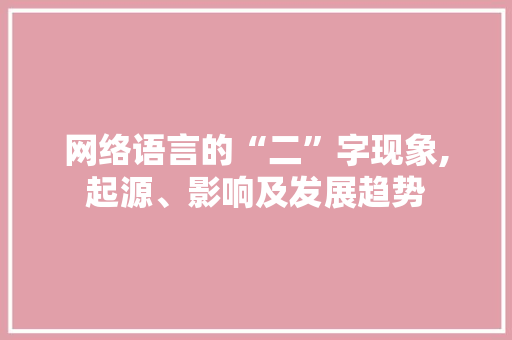 网络语言的“二”字现象,起源、影响及发展趋势