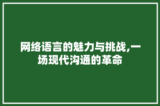 网络语言的魅力与挑战,一场现代沟通的革命