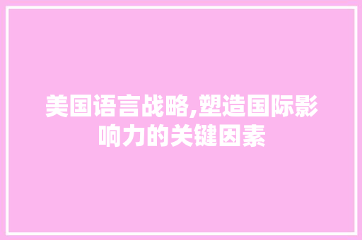 美国语言战略,塑造国际影响力的关键因素