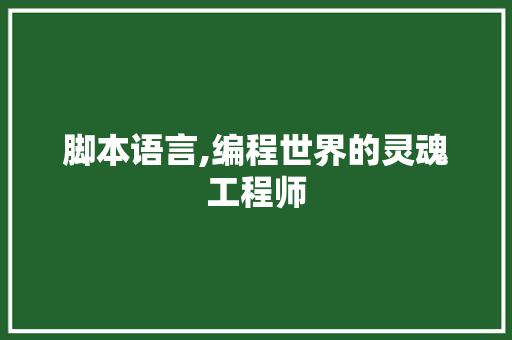 脚本语言,编程世界的灵魂工程师 seo技术