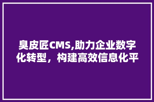 臭皮匠CMS,助力企业数字化转型，构建高效信息化平台