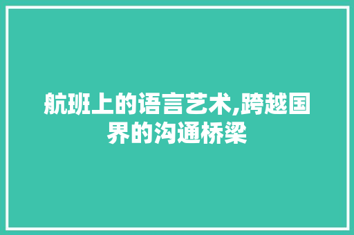 航班上的语言艺术,跨越国界的沟通桥梁