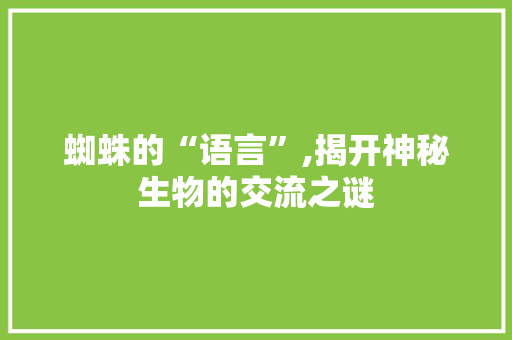 蜘蛛的“语言”,揭开神秘生物的交流之谜