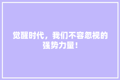 觉醒时代，我们不容忽视的强势力量！ 网站优化